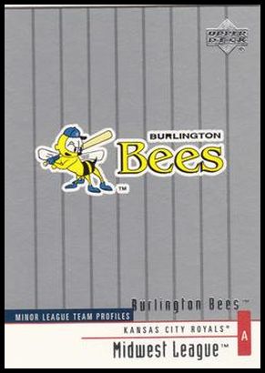 378 Burlington Bees TM